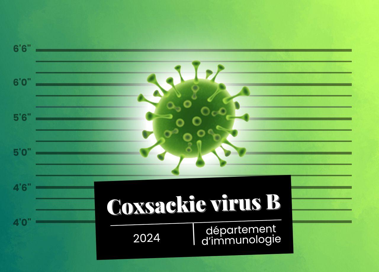 article : Coxsackie ? Coxsa-quoi ? Un virus se cacherait derrière le diabète de type 1, vraiment ?