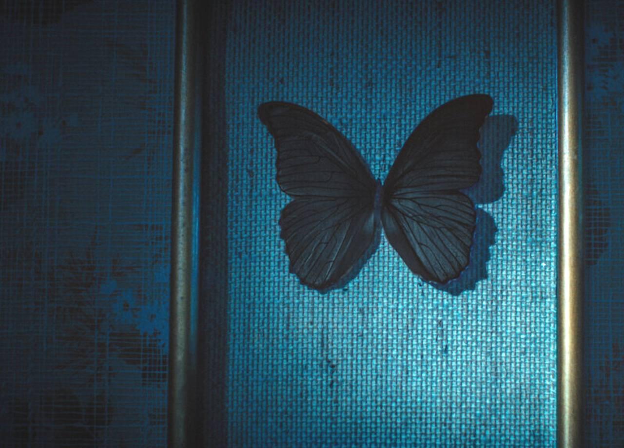 article : Diabète maudit : retour subjectif sur la série "Les Papillons noirs".