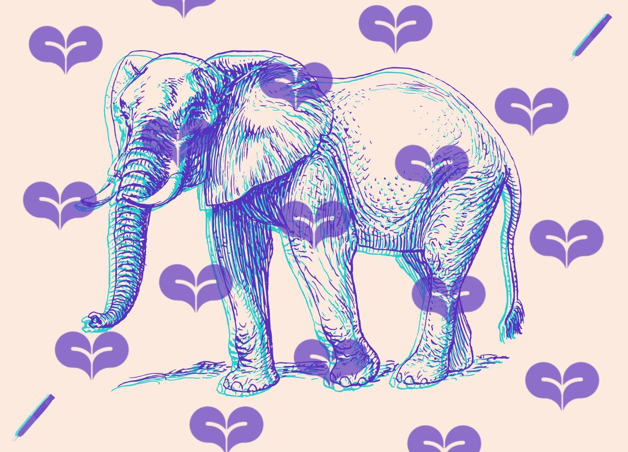 Comment faire l’amour avec un éléphant ?